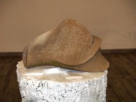 komp_P1017109.jpg